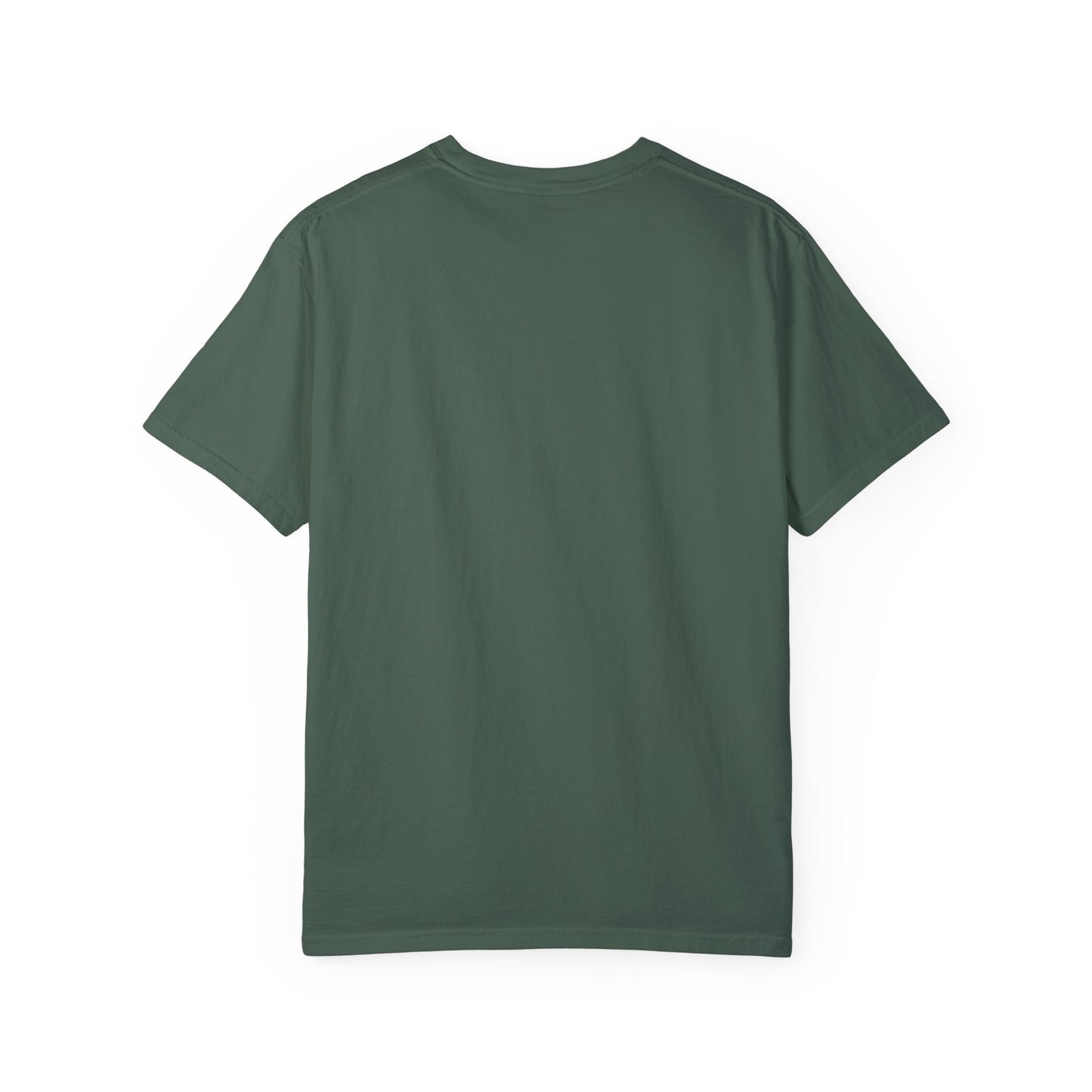 Haunted by My Graveyard of Unread Books T-Shirt – Comfort Colors 1717