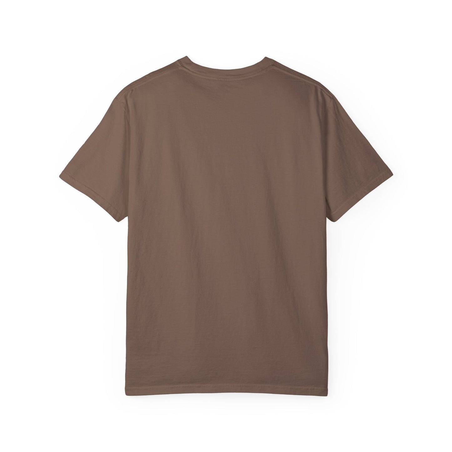 Haunted by My Graveyard of Unread Books T-Shirt – Comfort Colors 1717