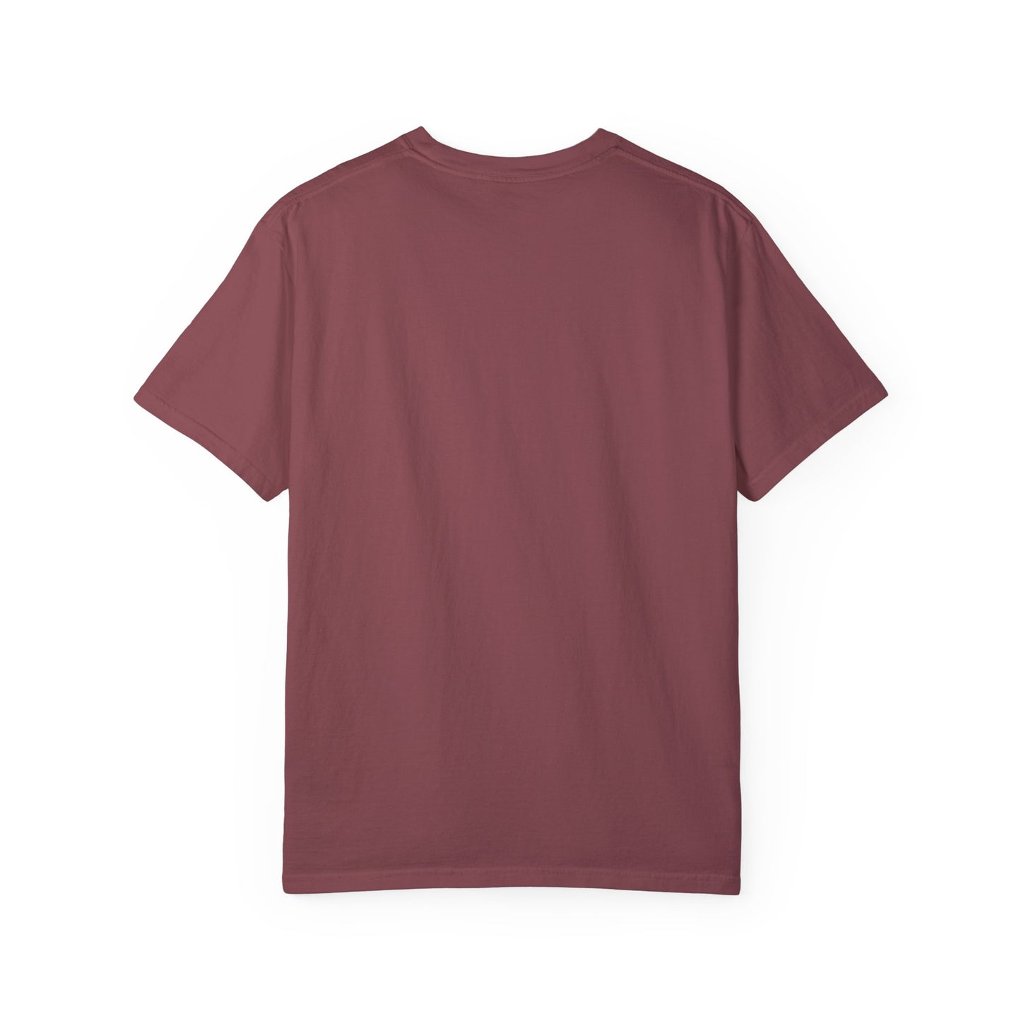 Haunted by My Graveyard of Unread Books T-Shirt – Comfort Colors 1717