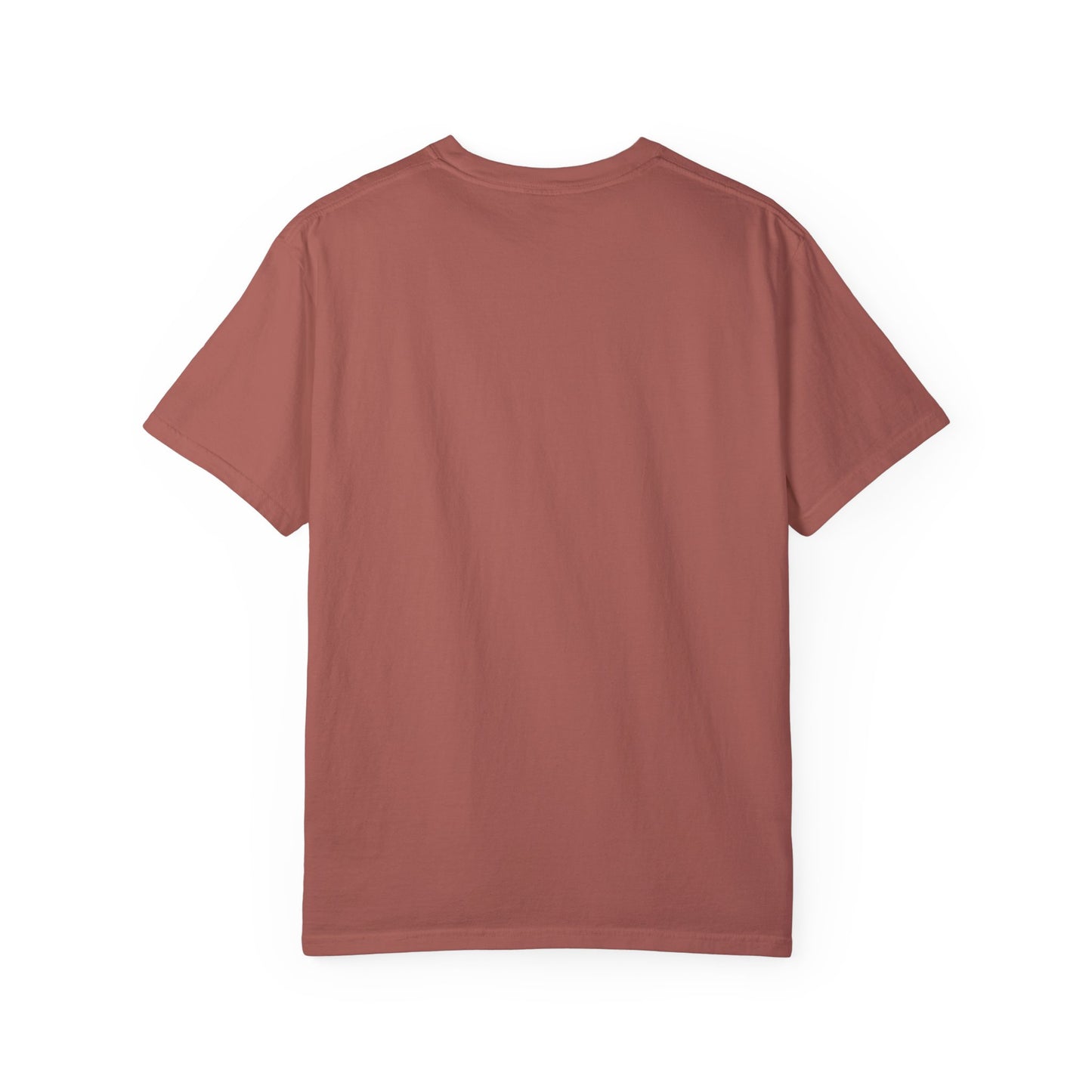 Haunted by My Graveyard of Unread Books T-Shirt – Comfort Colors 1717