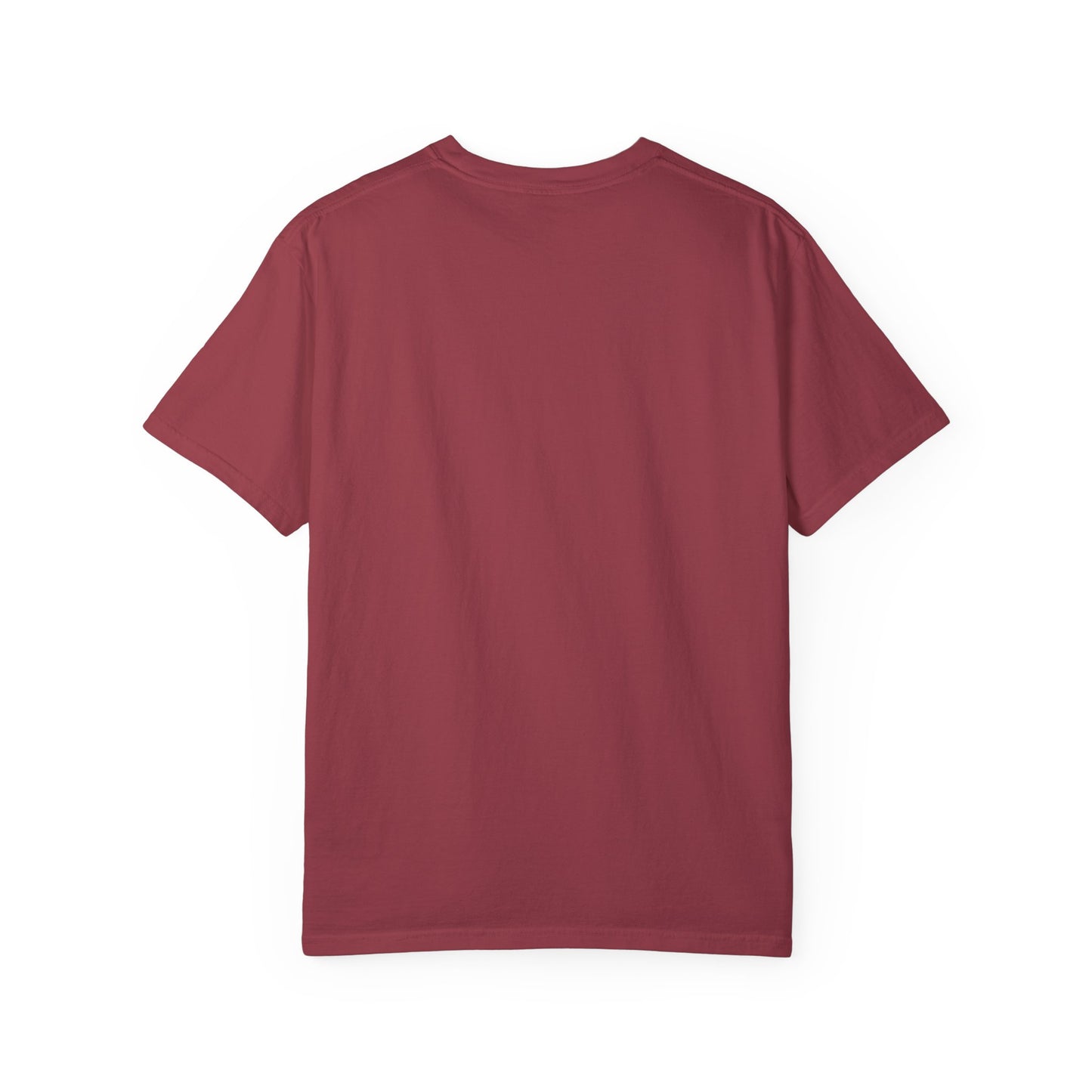 Haunted by My Graveyard of Unread Books T-Shirt – Comfort Colors 1717